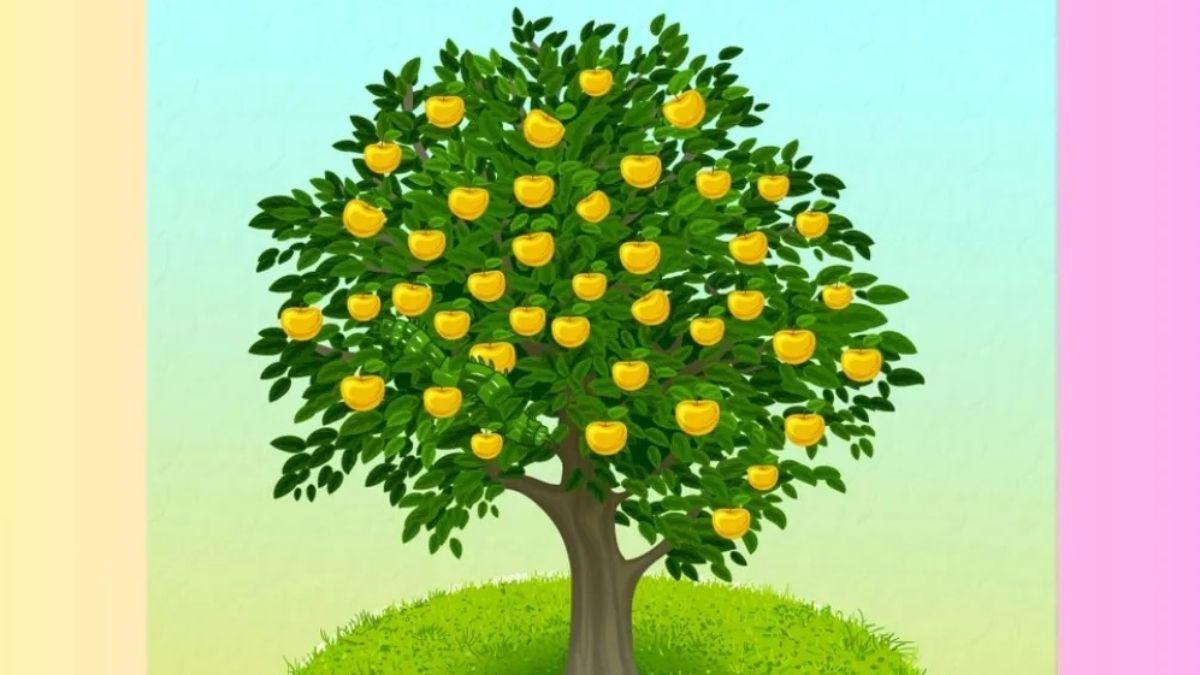 İllüzyon testi: Süper zekalar çözebilir! Limonların arasında gizli biri var…